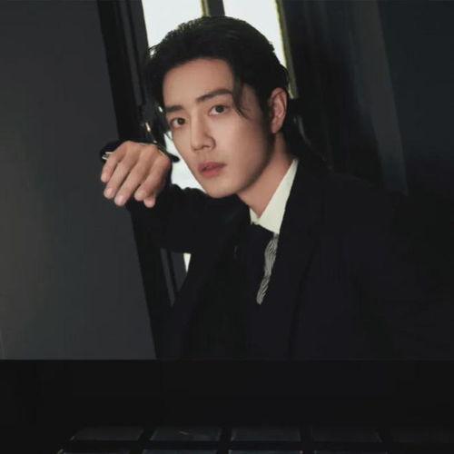 刘大锤爆料魏晨视频,揭秘背后惊人真相  第1张