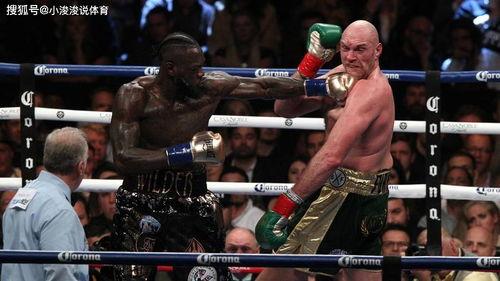 拳王怀特最新爆料,最新动态与未来计划曝光!” 第3张 拳王怀特最新爆料,最新动态与未来计划曝光!” 第3张