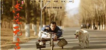 忠爱无言 在线观看,感人至深的动物情感故事 第2张 忠爱无言 在线观看,感人至深的动物情感故事 第2张